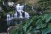 Rochester Falls
